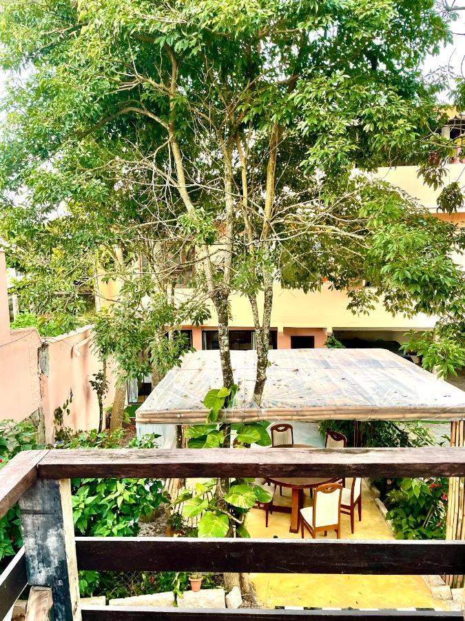 Pousada Happy Hostel Sao Francisco do Sul Luaran gambar